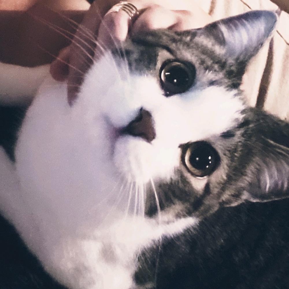 Meet your Posher, Yuki